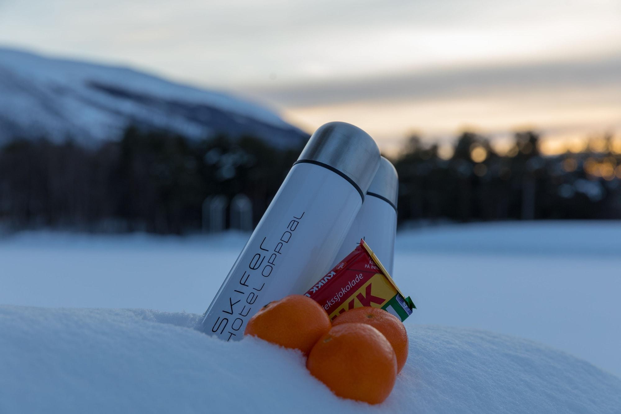 Quality Hotel Skifer オップダール エクステリア 写真